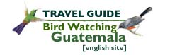 Birdwatching Guatemala - english site