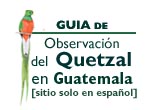 Observacin del Quetzal en Guatemala