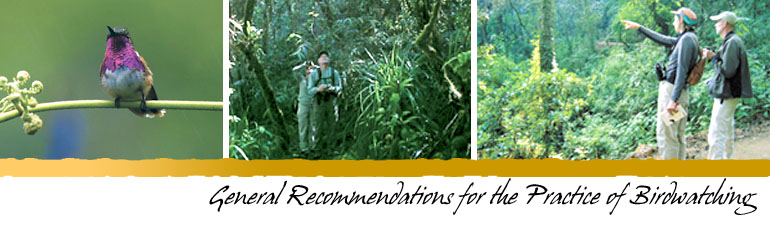 General Recommendations for the Practice of Birdwatching