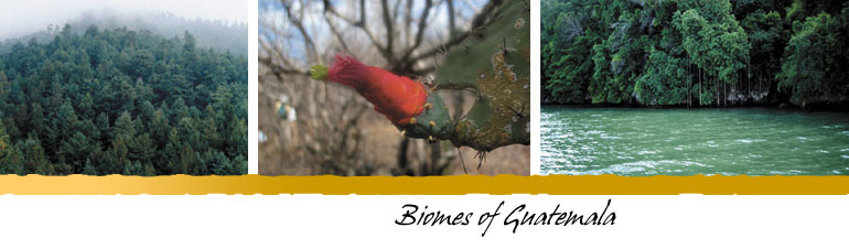 Biomes of Guatemala