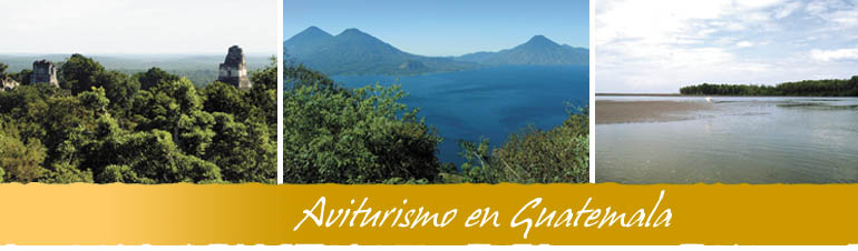 Aviturismo en Guatemala