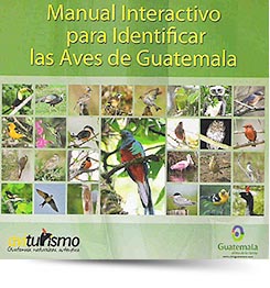 Manual Interactivo para Identificar las Aves de Guatemala