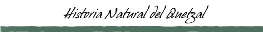Historia Natural del Quetzal
